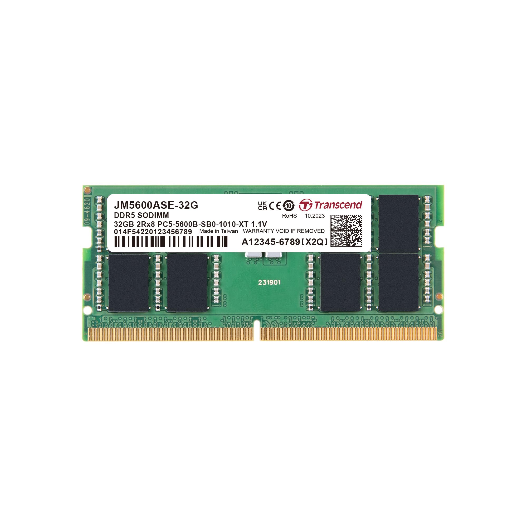 DRAM Module